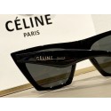 Replica Celine Sunglasses Top Quality CES00103 Tl5587it96