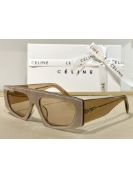 Celine Sunglasses Top Quality CES00119 Tl5571DO87