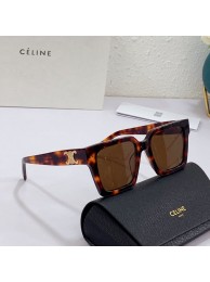 Celine Sunglasses Top Quality CES00141 Sunglasses Tl5549tg76