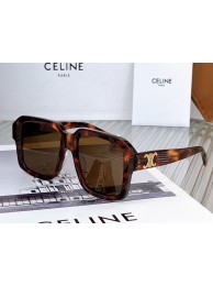 Celine Sunglasses Top Quality CES00142 Sunglasses Tl5548cP15