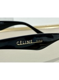 Knockoff Celine Sunglasses Top Quality CES00146 Tl5544eF76
