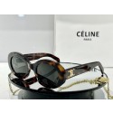 Celine Sunglasses Top Quality CES00026 Tl5664nQ90
