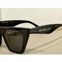 Celine Sunglasses Top Quality CES00060 Tl5630Jz48