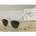 Celine Sunglasses Top Quality CES00067 Tl5623sY95