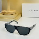 Celine Sunglasses Top Quality CES00104 Tl5586pB23