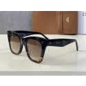 Celine Sunglasses Top Quality CES00127 Tl5563iv85