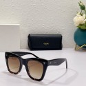 Celine Sunglasses Top Quality CES00169 Tl5521NP24