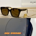 Celine Sunglasses Top Quality CES00172 Sunglasses Tl5518dN21
