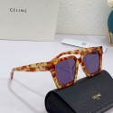 Celine Sunglasses Top Quality CES00184 Sunglasses Tl5506zd34
