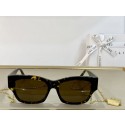 Celine Sunglasses Top Quality CES00216 Tl5474VI95