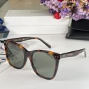Celine Sunglasses Top Quality CES00247 Tl5443JD28