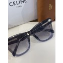 Celine Sunglasses Top Quality CES00256 Tl5434LG44