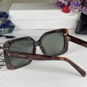 Celine Sunglasses Top Quality CES00288 Tl5402dw37