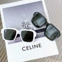 Celine Sunglasses Top Quality CES00313 Tl5377rJ28