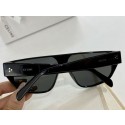 Celine Sunglasses Top Quality CES00314 Tl5376qM91