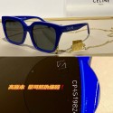 Fake Celine Sunglasses Top Quality CES00086 Tl5604Lh27