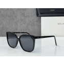 Fashion Celine Sunglasses Top Quality CES00063 Tl5627wc24
