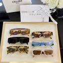 Hot Celine Sunglasses Top Quality CES00374 Tl5316Nm85