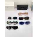 Imitation Celine Sunglasses Top Quality CES00365 Sunglasses Tl5325Nj42