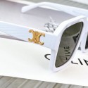 Knockoff High Quality Celine Sunglasses Top Quality CES00228 Tl5462Lg12