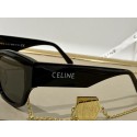 Luxury Celine Sunglasses Top Quality CES00136 Tl5554Lv15