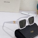 Replica Celine Sunglasses Top Quality CES00098 Tl5592AP18