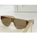Replica Celine Sunglasses Top Quality CES00186 Tl5504iF91