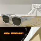 Celine Sunglasses Top Quality CES00137 Sunglasses Tl5553ta99