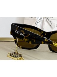 AAAAA Celine Sunglasses Top Quality CES00173 Tl5517Qa67
