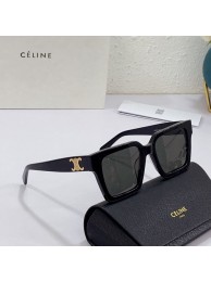 Celine Sunglasses Top Quality CES00055 Tl5635Sy67