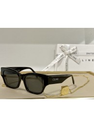 Celine Sunglasses Top Quality CES00093 Tl5597yj81