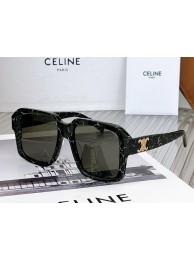 Celine Sunglasses Top Quality CES00099 Tl5591Va47