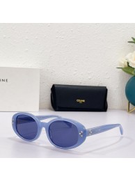 Celine Sunglasses Top Quality CES00109 Tl5581De45