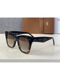 Celine Sunglasses Top Quality CES00127 Tl5563iv85