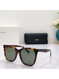 Celine Sunglasses Top Quality CES00159 Tl5531JD63