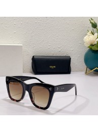 Celine Sunglasses Top Quality CES00169 Tl5521NP24