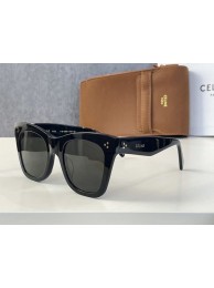 Celine Sunglasses Top Quality CES00170 Sunglasses Tl5520Ag46