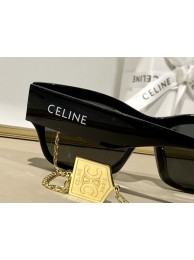 Celine Sunglasses Top Quality CES00179 Tl5511Cw85