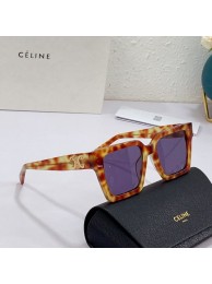 Celine Sunglasses Top Quality CES00184 Sunglasses Tl5506zd34