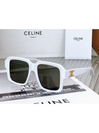 Celine Sunglasses Top Quality CES00185 Tl5505FA31