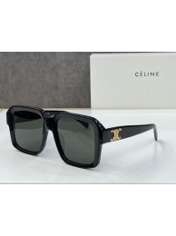Celine Sunglasses Top Quality CES00193 Tl5497Is53