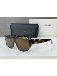 Celine Sunglasses Top Quality CES00197 Tl5493UE80