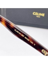 Celine Sunglasses Top Quality CES00245 Tl5445rf73