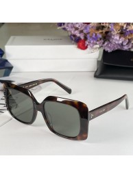 Celine Sunglasses Top Quality CES00246 Sunglasses Tl5444Rc99