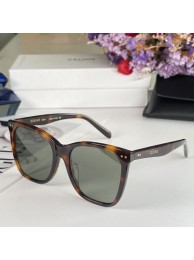 Celine Sunglasses Top Quality CES00247 Tl5443JD28
