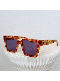 Celine Sunglasses Top Quality CES00251 Tl5439Xr72