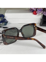 Celine Sunglasses Top Quality CES00288 Tl5402dw37
