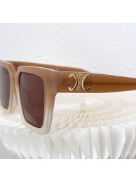 Celine Sunglasses Top Quality CES00293 Tl5397TL77