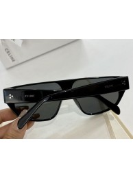 Celine Sunglasses Top Quality CES00314 Tl5376qM91
