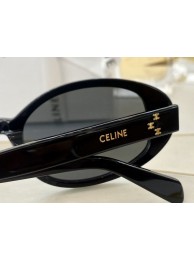 Celine Sunglasses Top Quality CES00337 Tl5353fc78